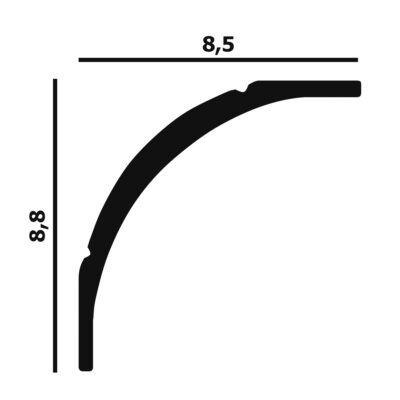 Perfect Plus P46 Perfect Plus P46